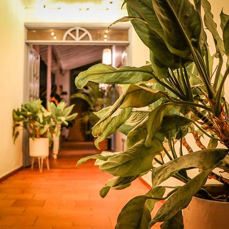 Aura Hotel Parque Barichara By Infinity Екстер'єр фото