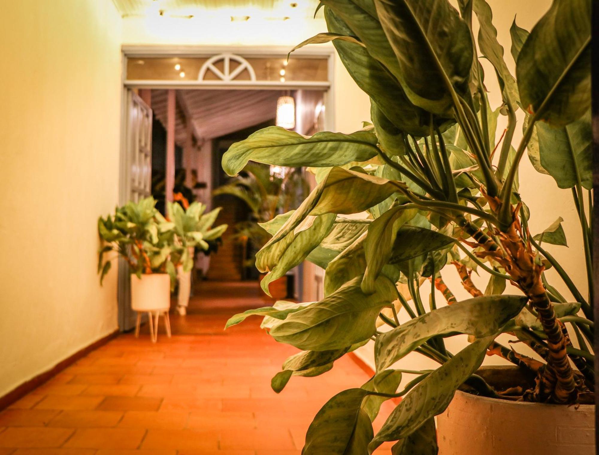 Aura Hotel Parque Barichara By Infinity Екстер'єр фото